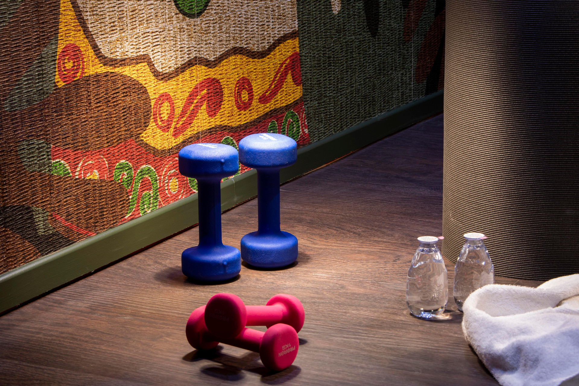 Instalaciones Recreativas Hotel Elysees Regencia