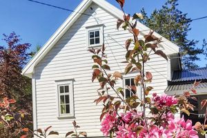 Alquiler Vacacional - 13 Person Holiday Home in Songesand