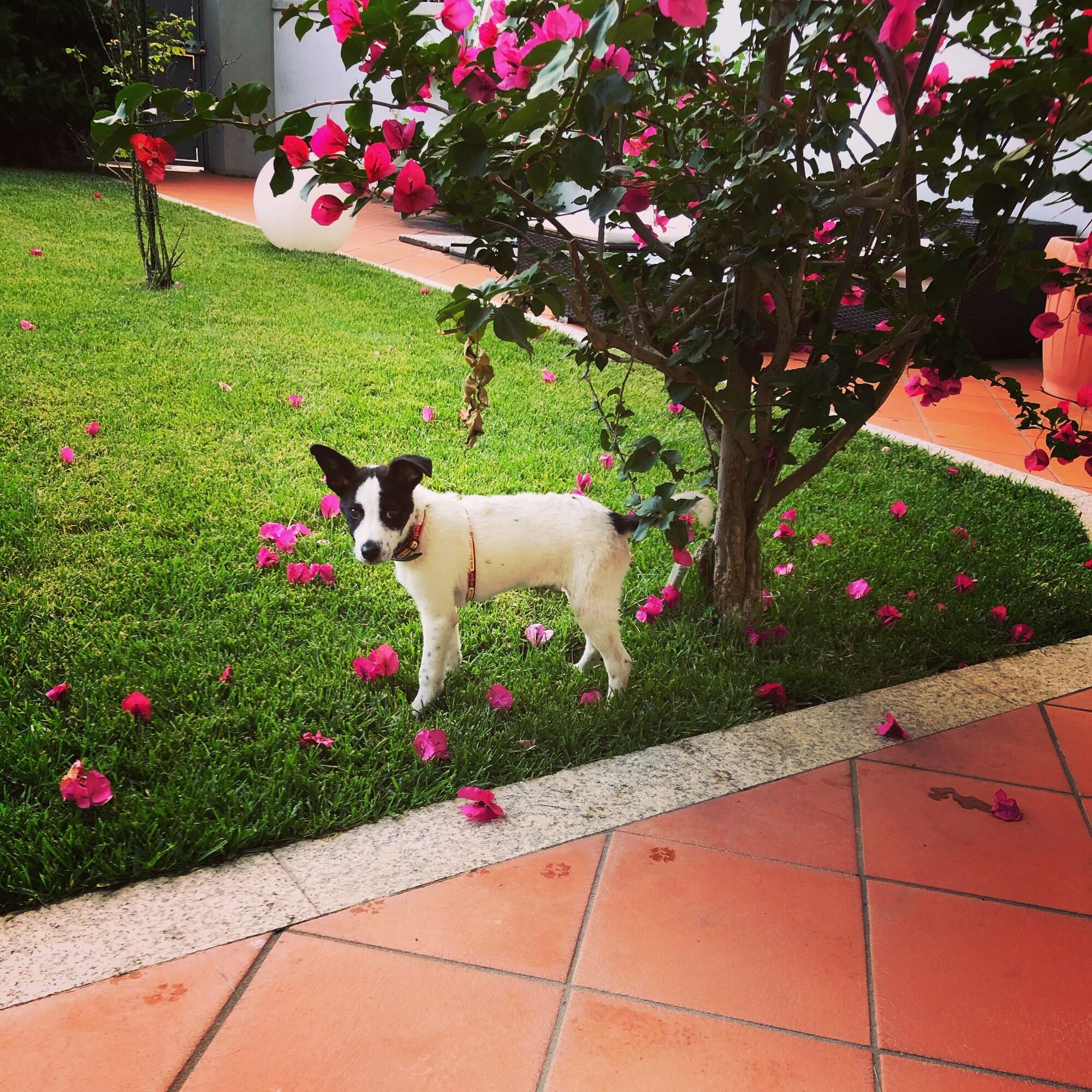 Vista Exterior City Garden Guest House