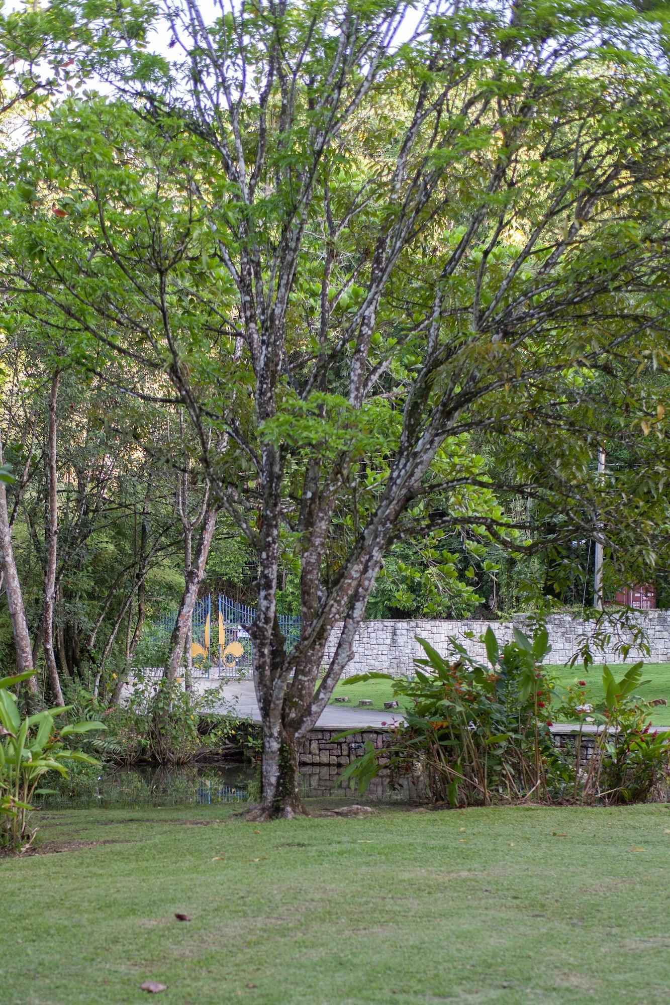 Vista Exterior Frenchman's Cove Resort