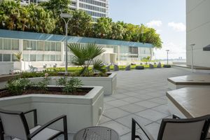 Alojamiento - Miami Marriott Biscayne Bay