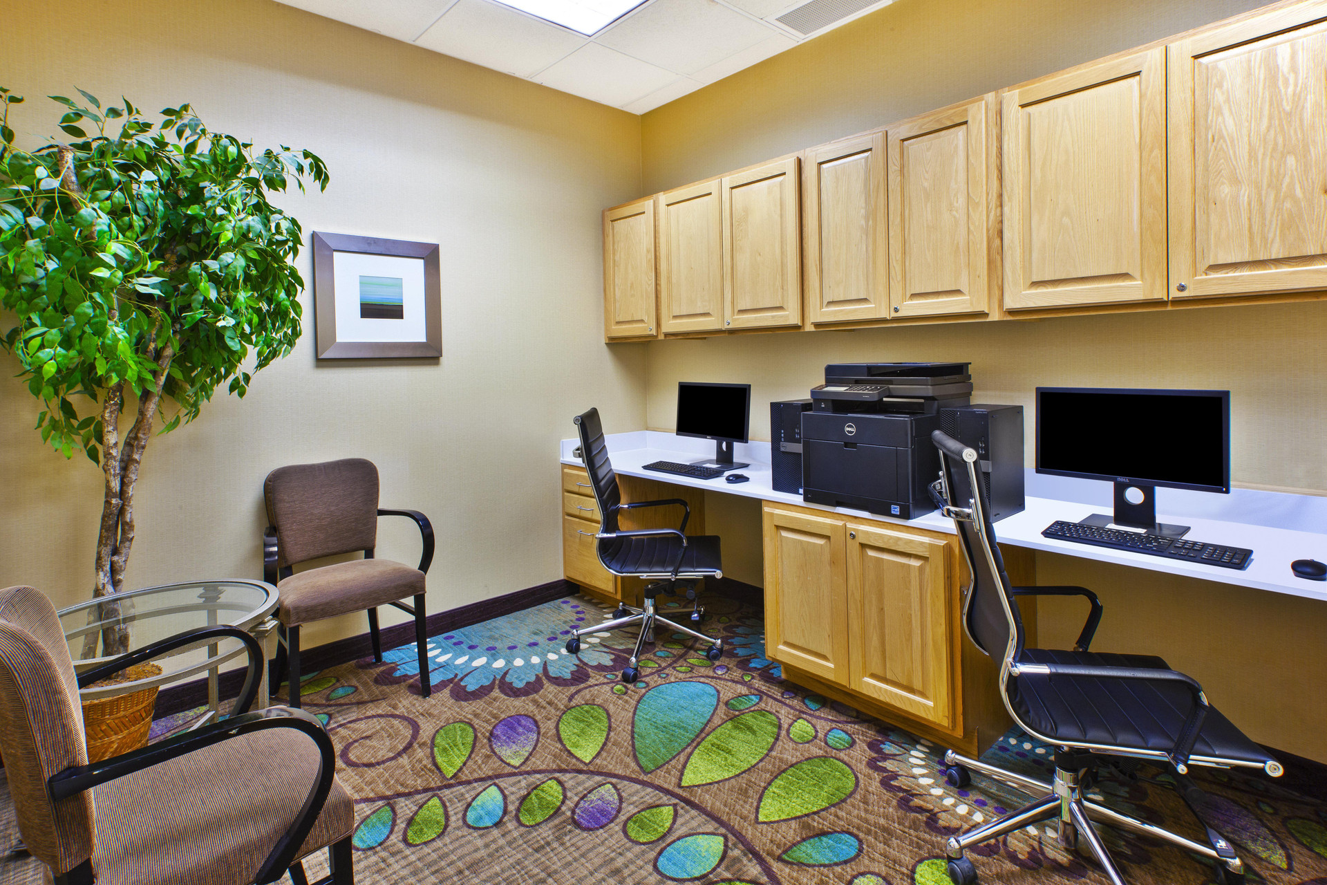 Vista Exterior Holiday Inn & Suites Bolingbrook by IHG