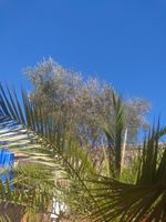 Alquiler Vacacional - House with outdoor space. Small swimming pool and barbecue