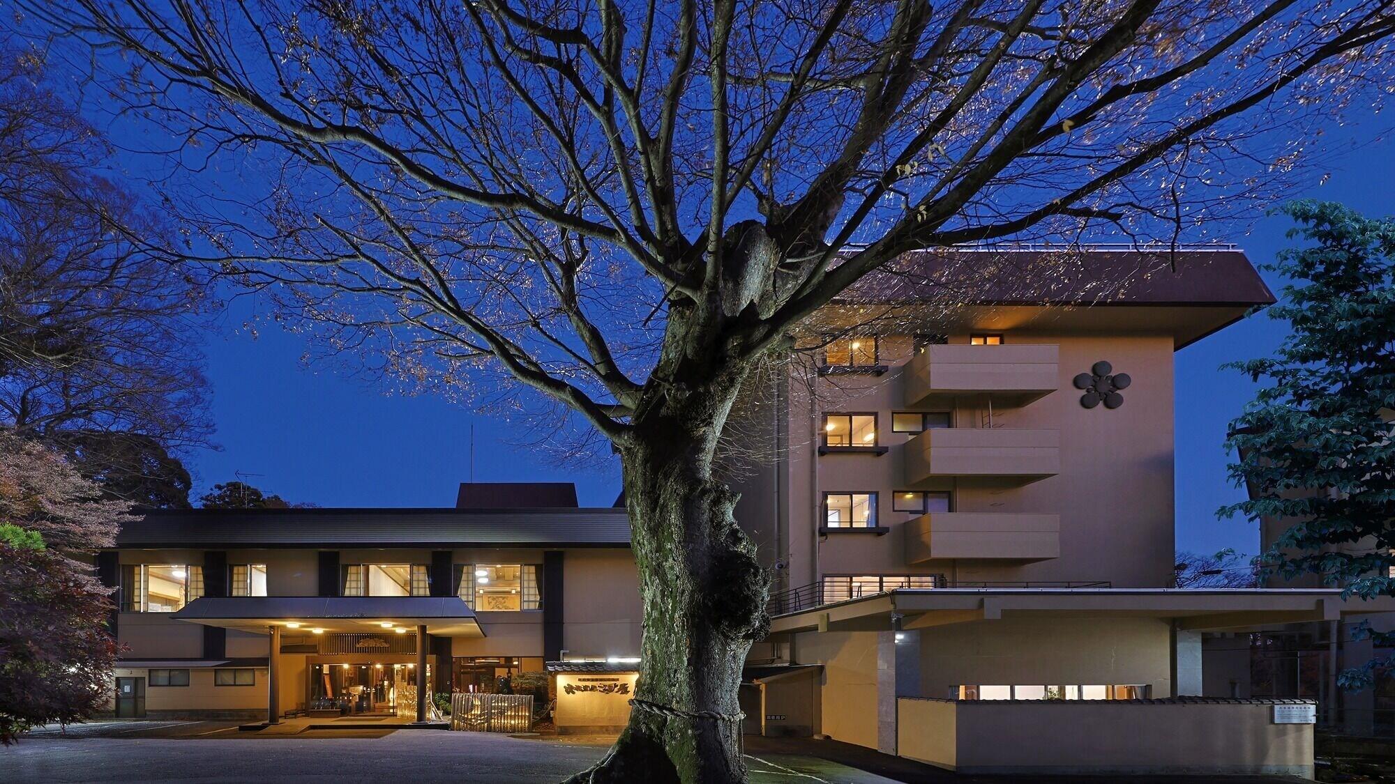 Varios Tsukubasan Onsen Edoya