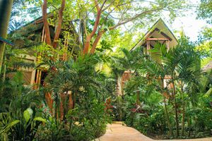 Alojamiento - Masaya Tayrona & Beach Club