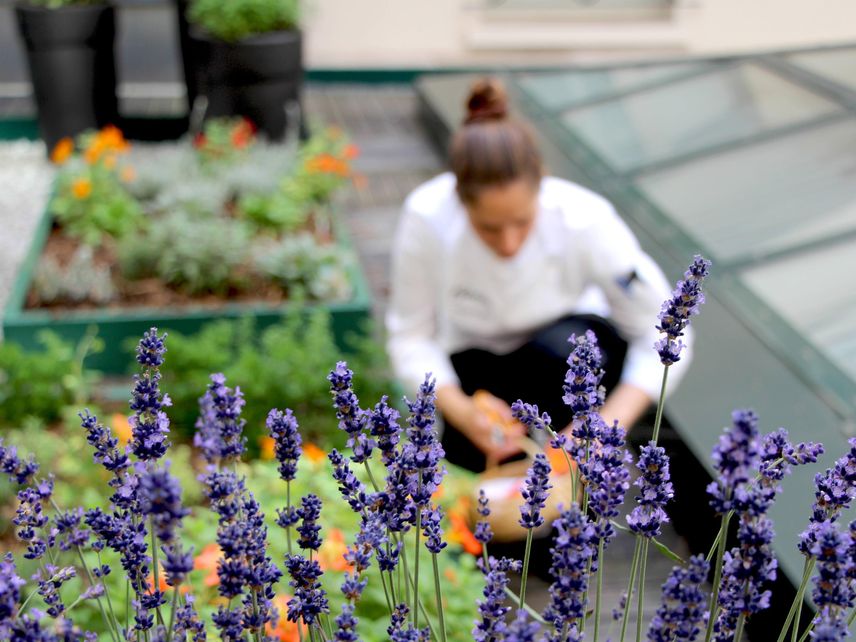 Vista Exterior Sofitel Paris Le Faubourg