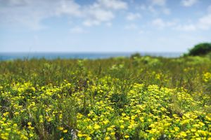 Alojamiento - Hotel French Coco