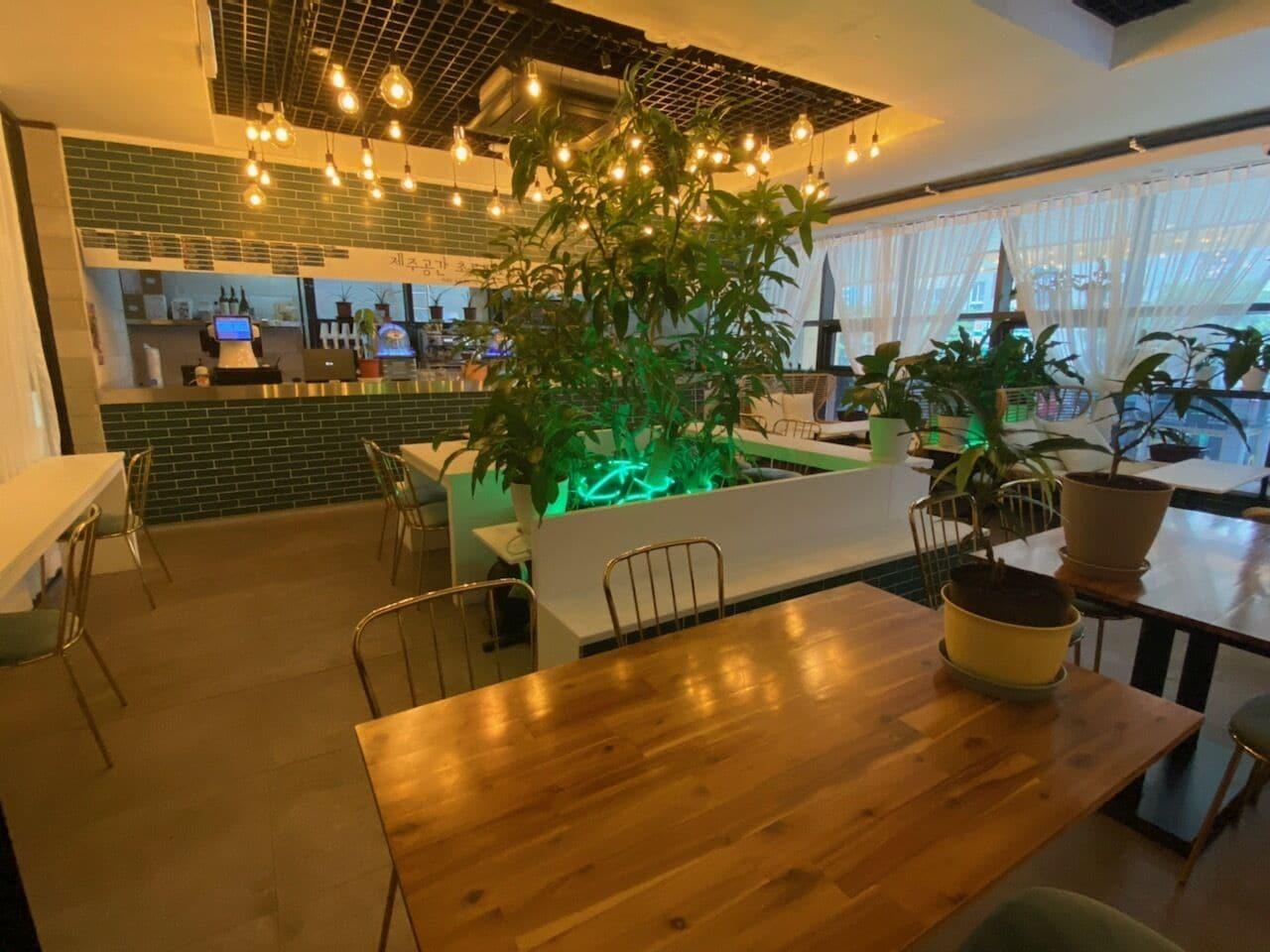 Bar/lounge Hotel With Jeju
