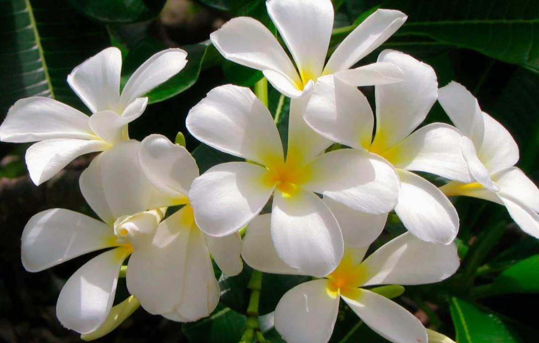 Vista Lobby StaysPro - Hollywood Homes Minutes to Everything