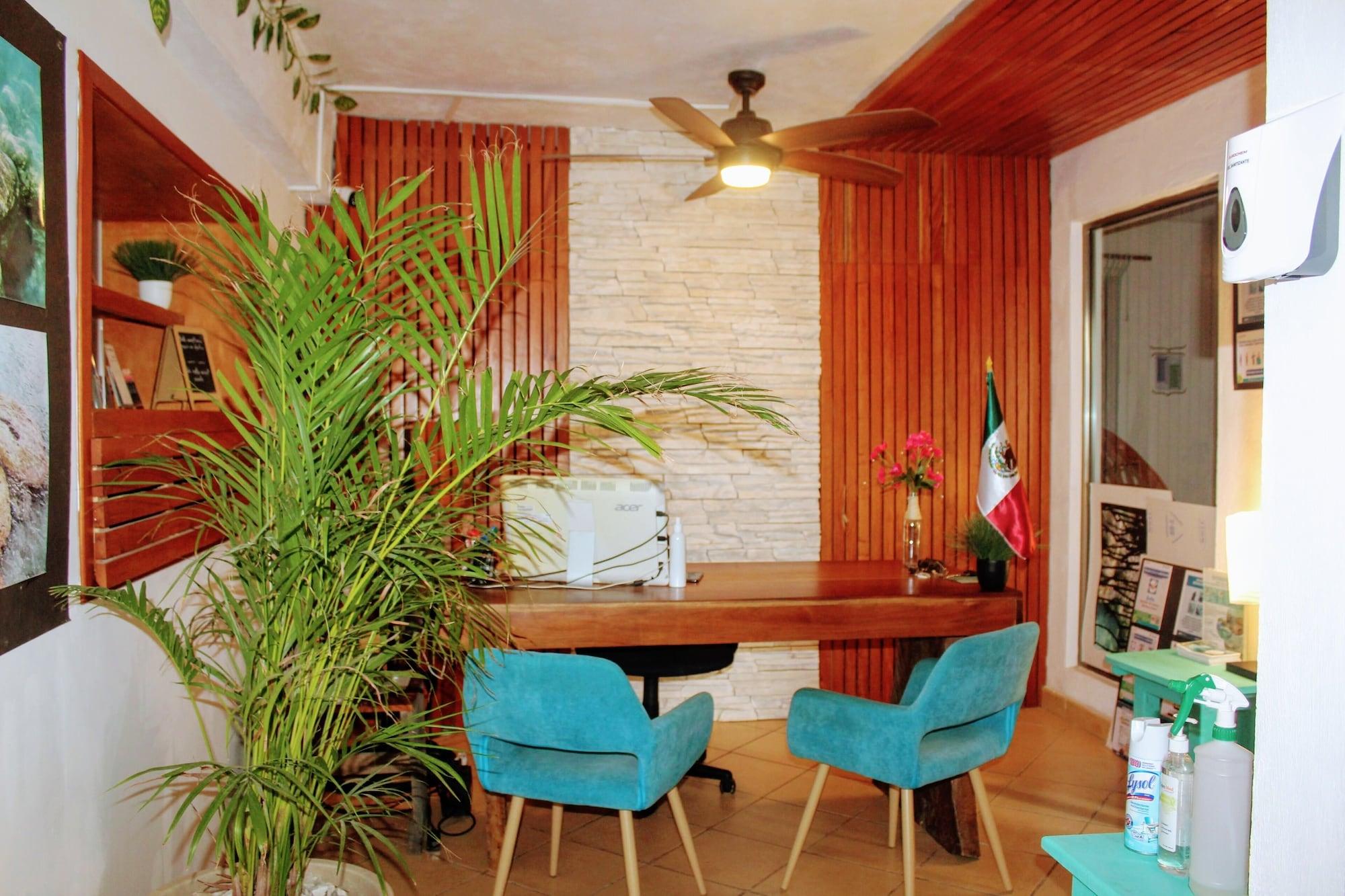 Vista Lobby Hostal & Suites Pata de Perro Bacalar