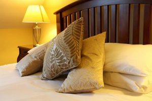 Alojamiento - Trooperstown Wood Lodge