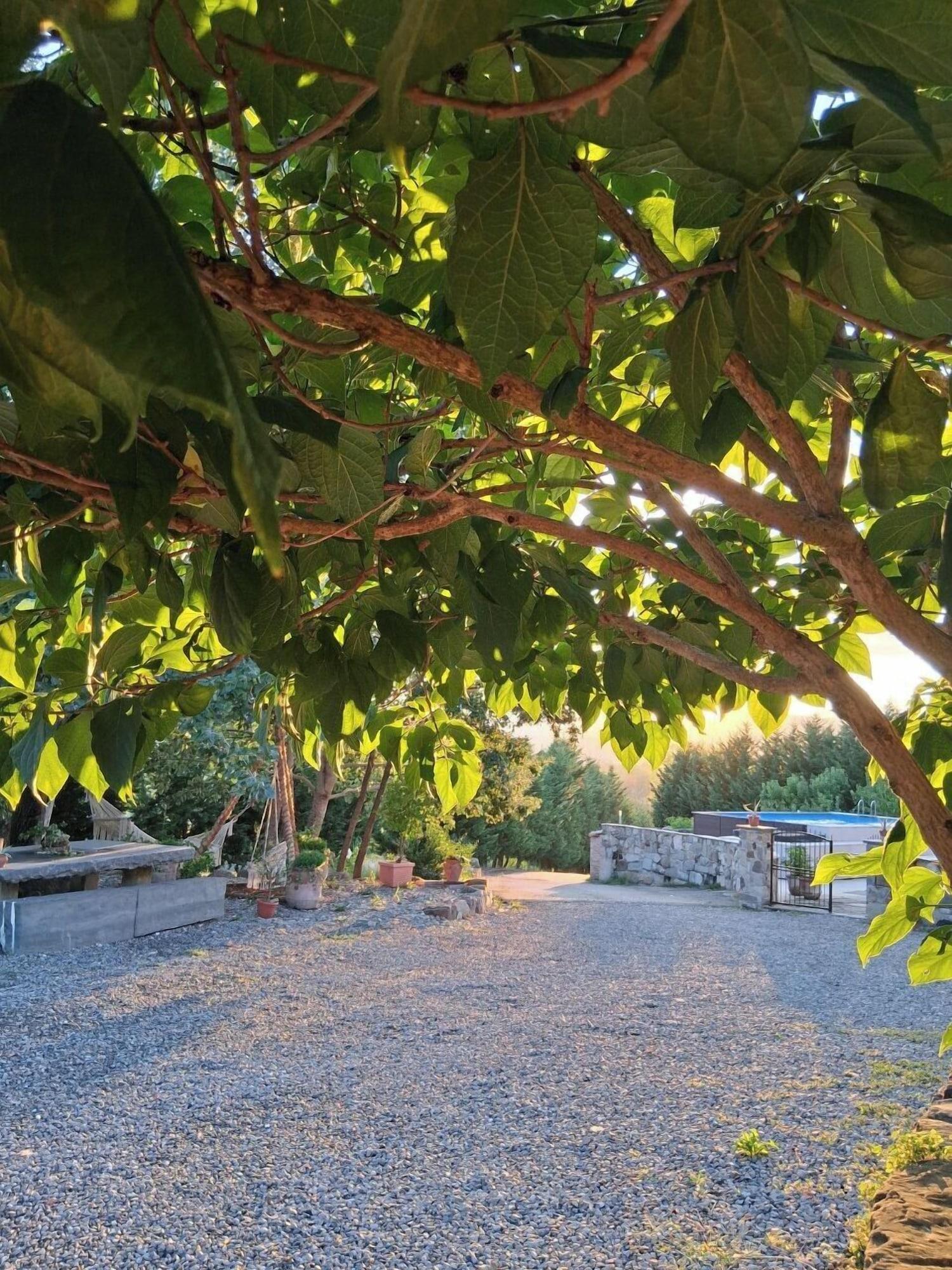 Vista Exterior La Rasora B&B