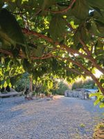 Alojamiento - La Rasora B&B