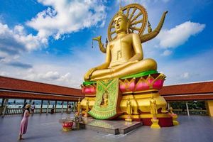 Activity - Around Samui Island