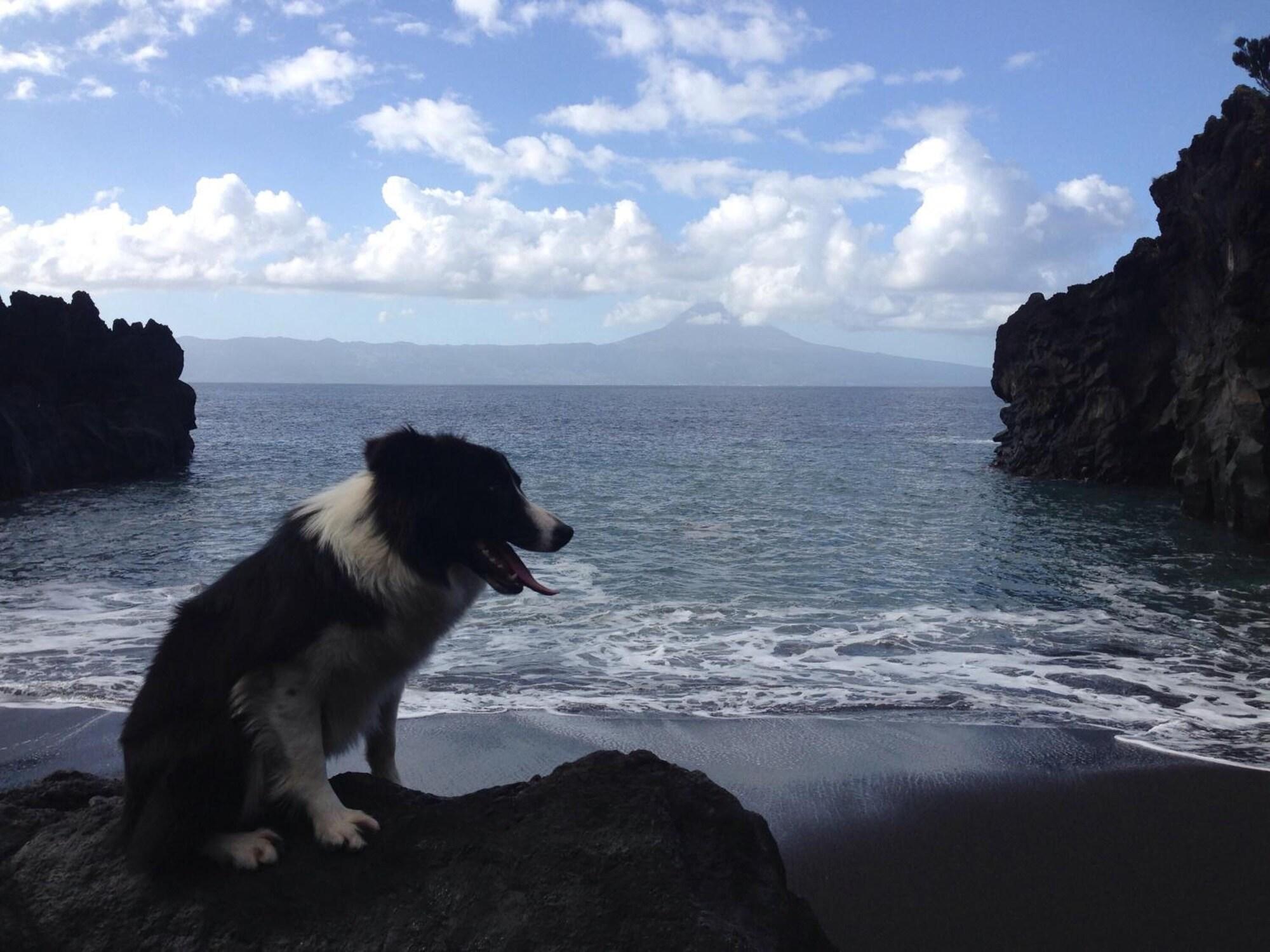 Playa Make It Happen Farm