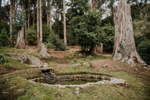 Alojamiento - Hotel Bosque de Reñaca