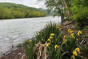 Alquiler Vacacional - Waterfront on the New RIver