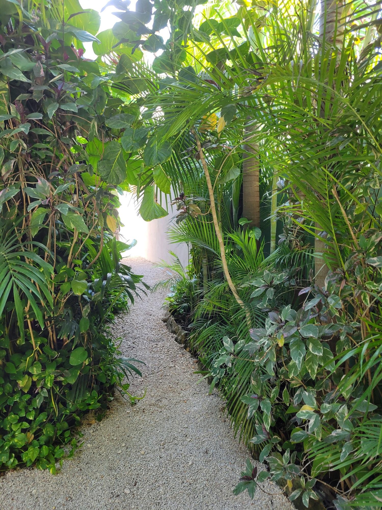 Vista Exterior The Secret Garden