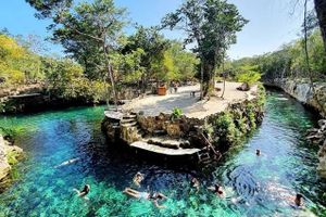 Actividad - Casa Tortuga 5 Cenotes Transporte Buffet y 2 Sitios