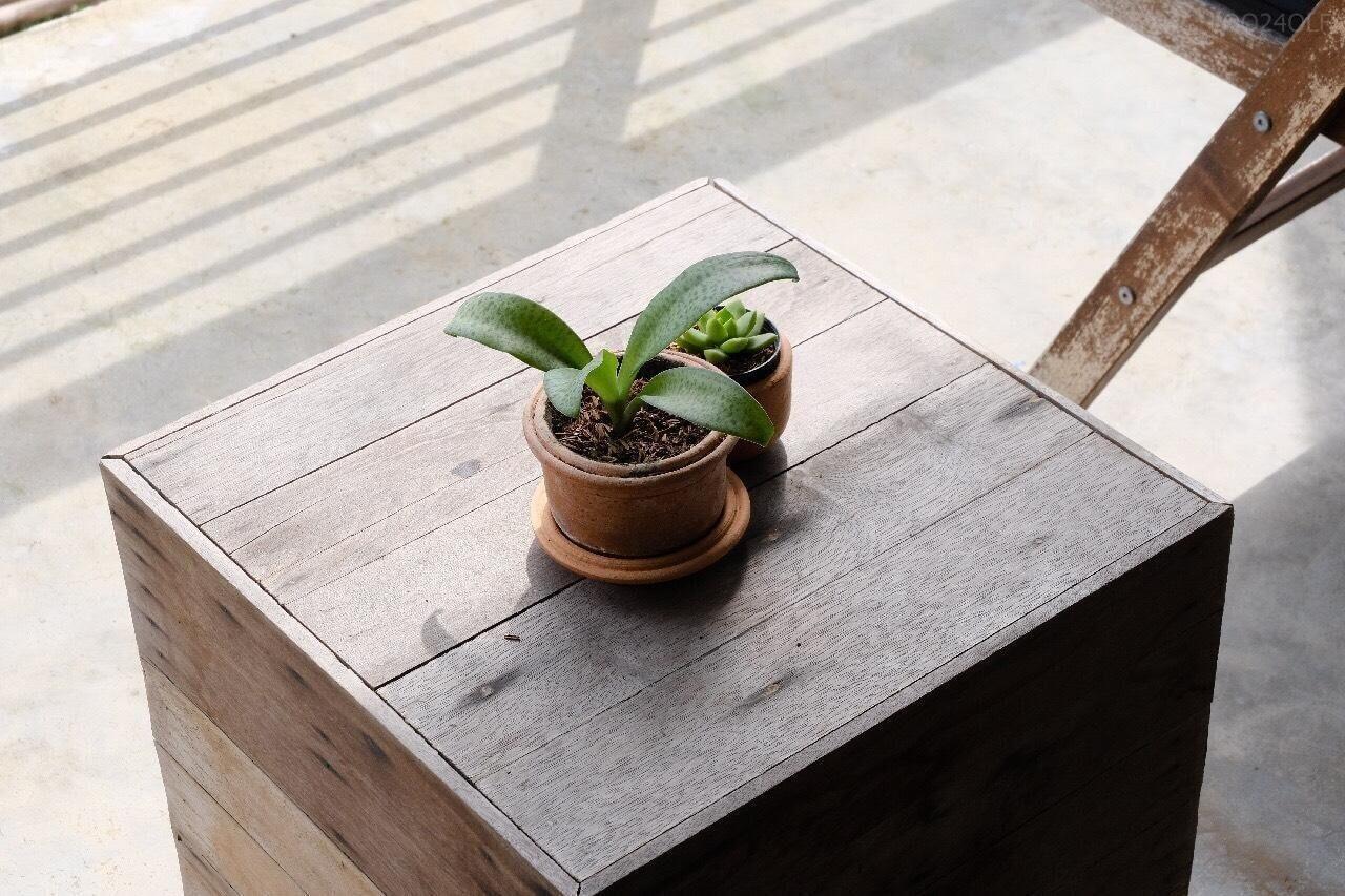 Equipamiento de Habitación Samatha Bed & Breakfast