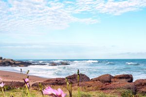 Paquete - Punta del Este y su horizonte infinito