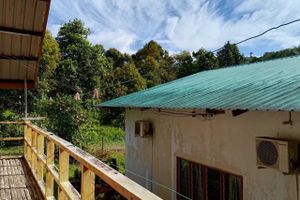 Alojamiento - Kinabalu Poring Vacation Lodge - Hostel