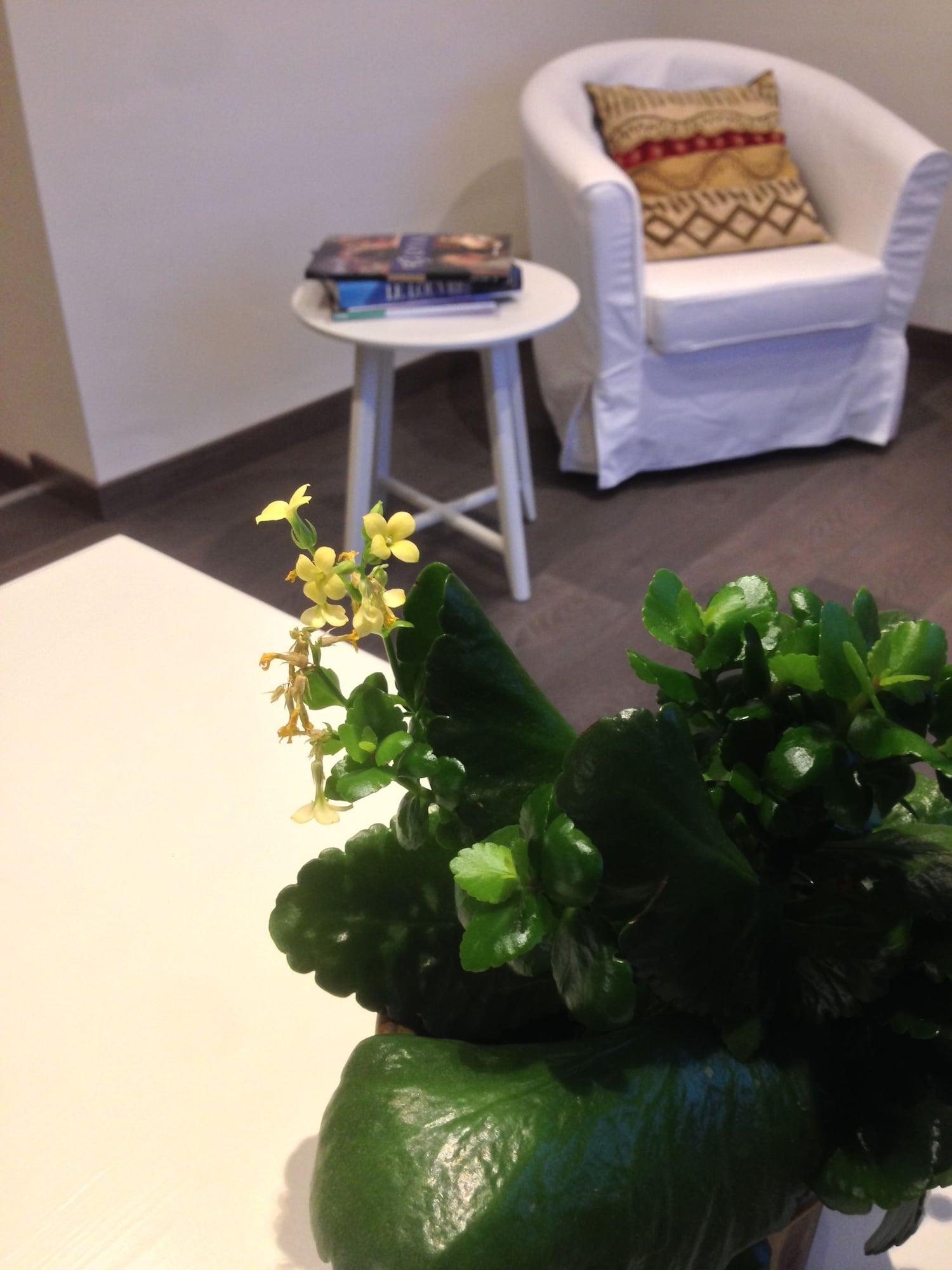 Equipamiento de Habitación RectoVersoVV