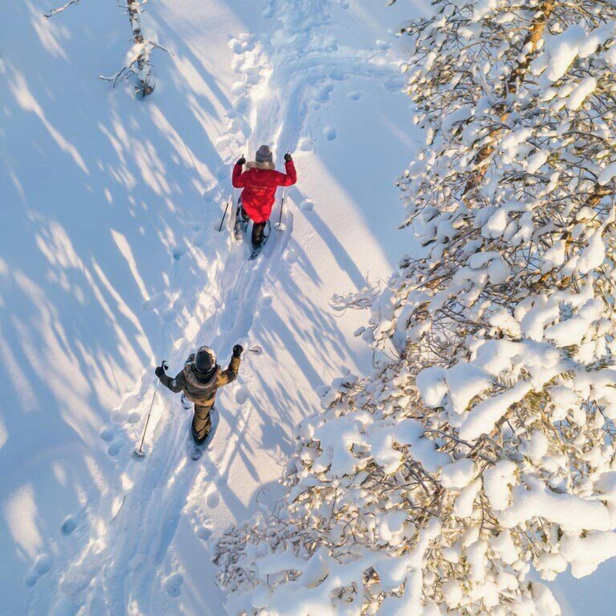 Instalaciones Recreativas Arctic TreeHouse Hotel