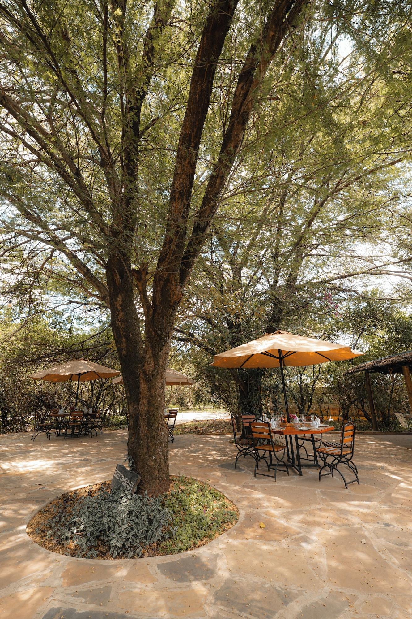 Vista Exterior Mara Big Five Lodge