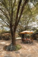 Alojamiento - Mara Big Five Lodge