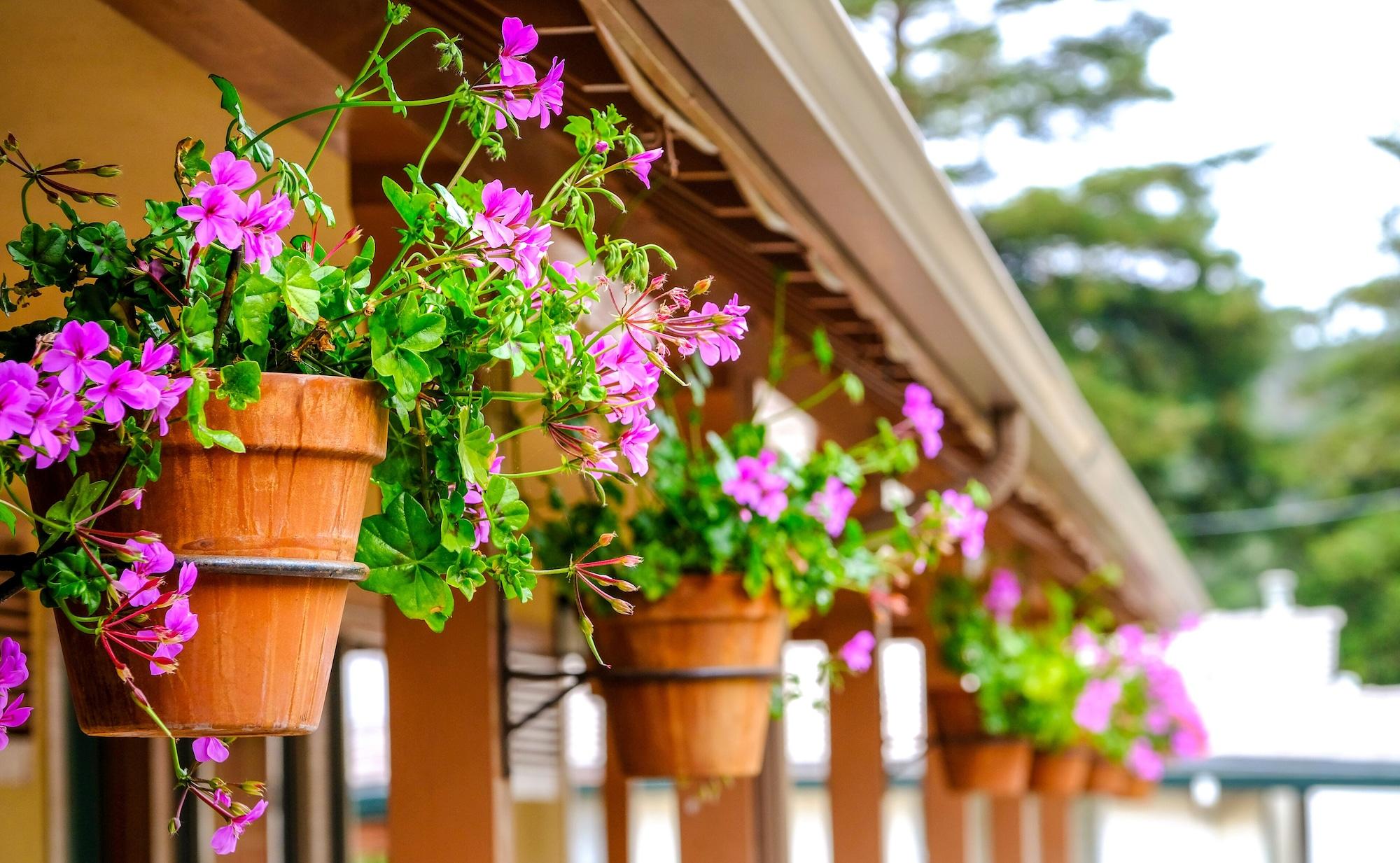 Vista Exterior Candle Light Inn