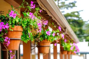 Alojamiento - Candle Light Inn