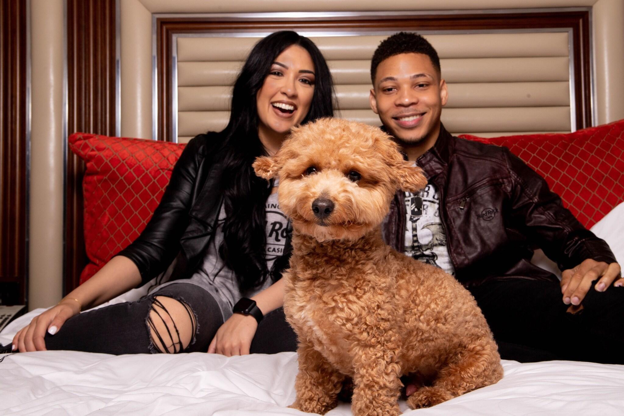 Vista Exterior Seminole Hard Rock Hotel & Casino Tampa