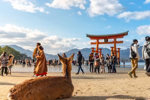 Actividad - Excursión de un día a Hiroshima y Miyajima con el santuario de Itsukushima y ferry