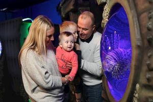 Actividad - SEA LIFE - Entrada