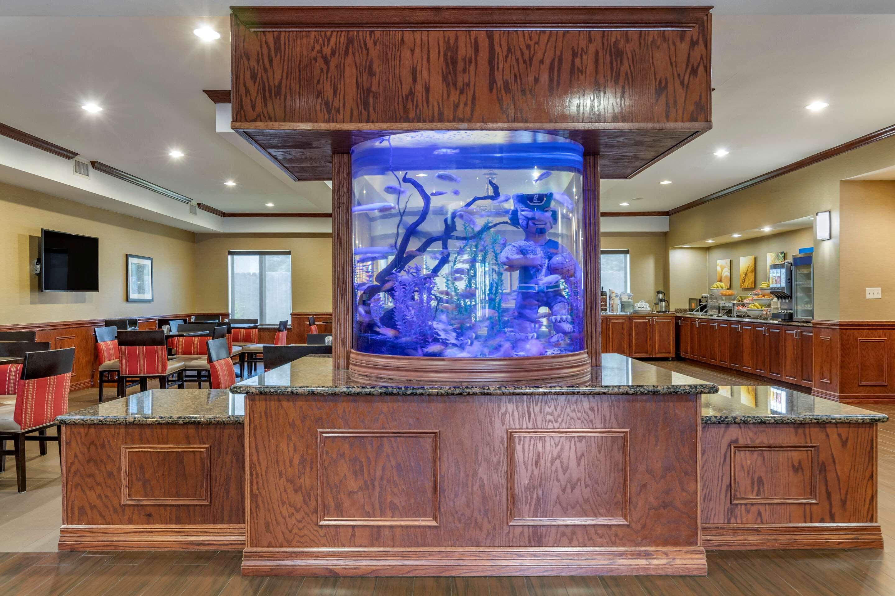 Vista Lobby Comfort Suites Near Texas A&M University - Corpus Christi