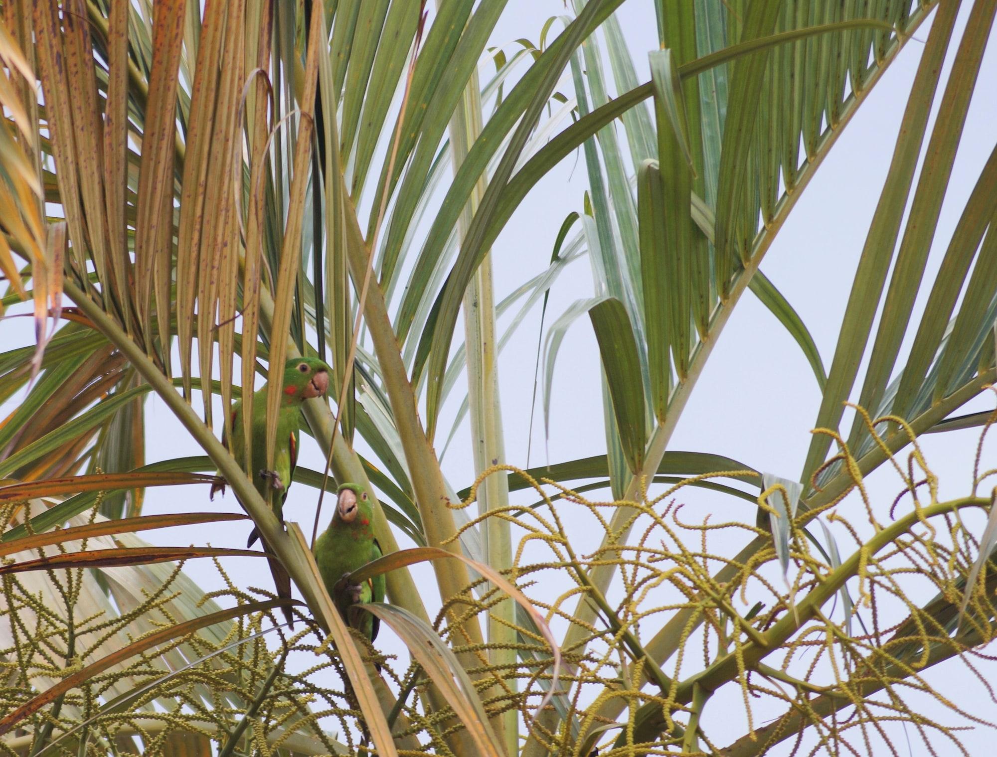 Vista Exterior Recanto das Libelulas pousada