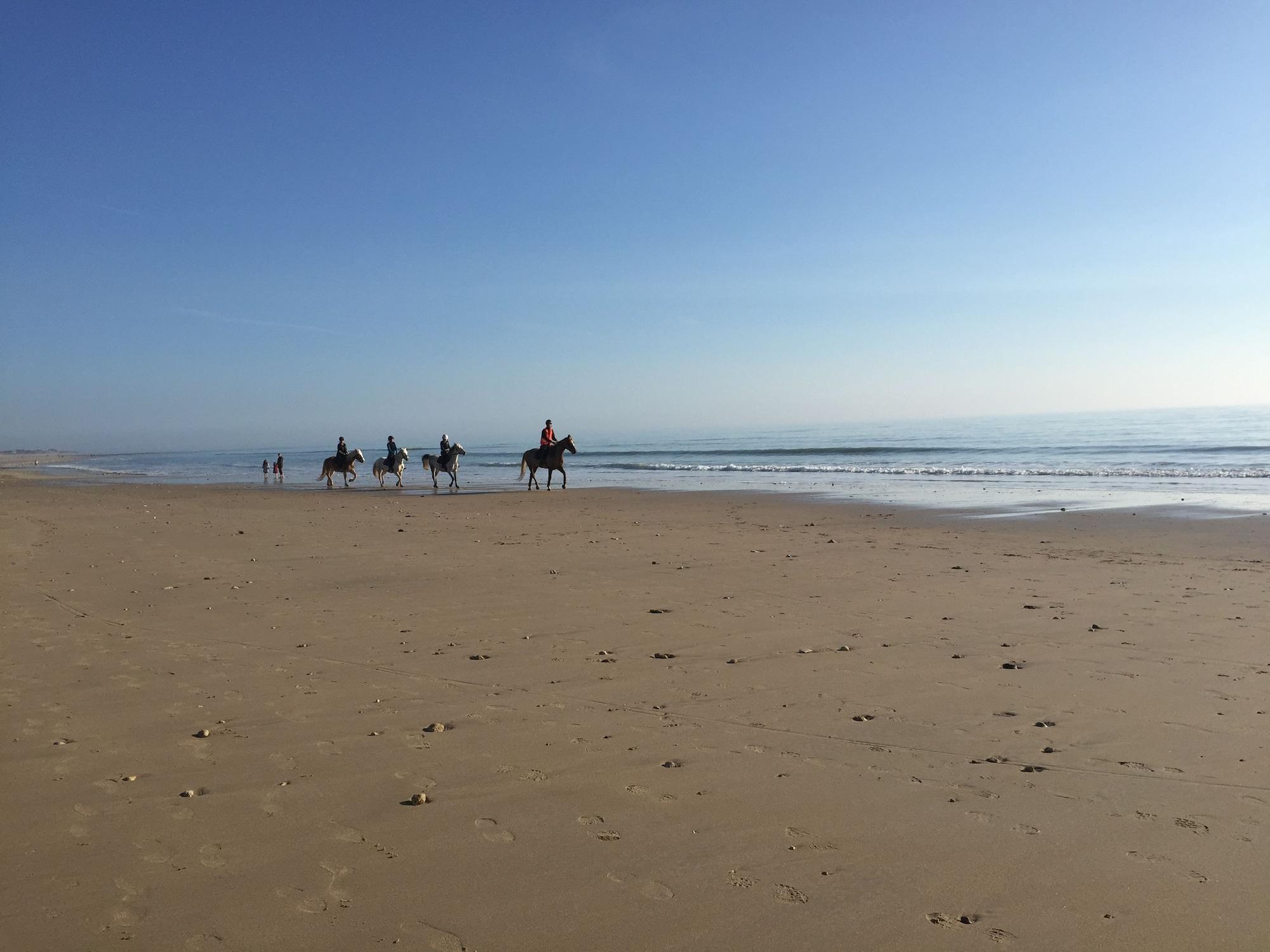 Playa Elégance Suites Hôtel - Île de Ré