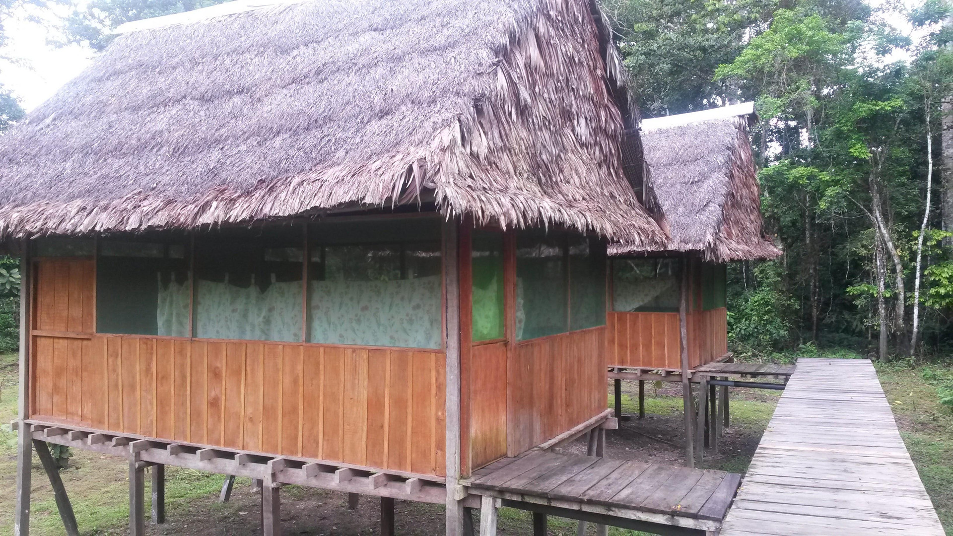 Habitación Amazon Eco Tours & Lodge