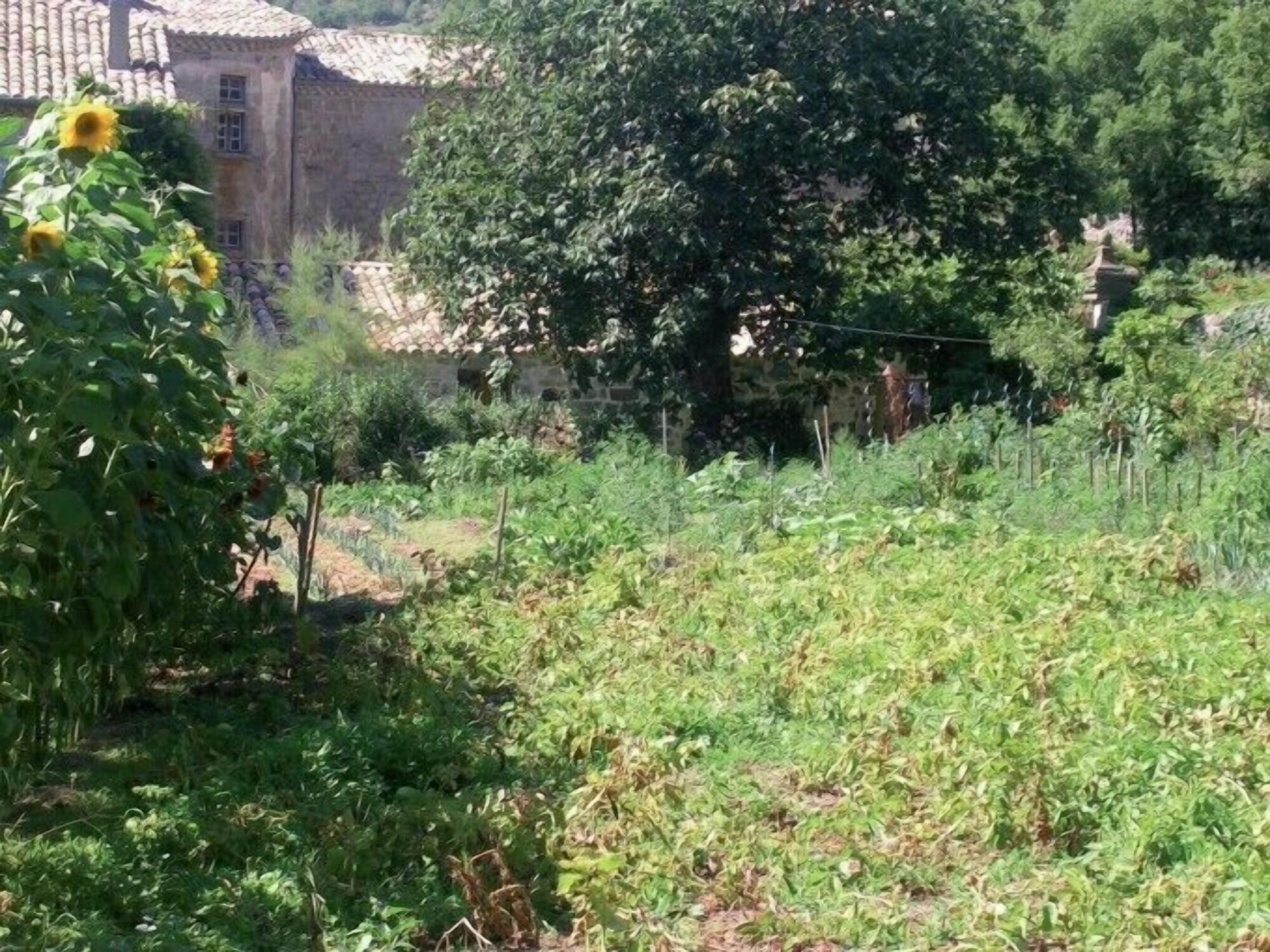 Comodidades del Alojamiento Domaine du Clap