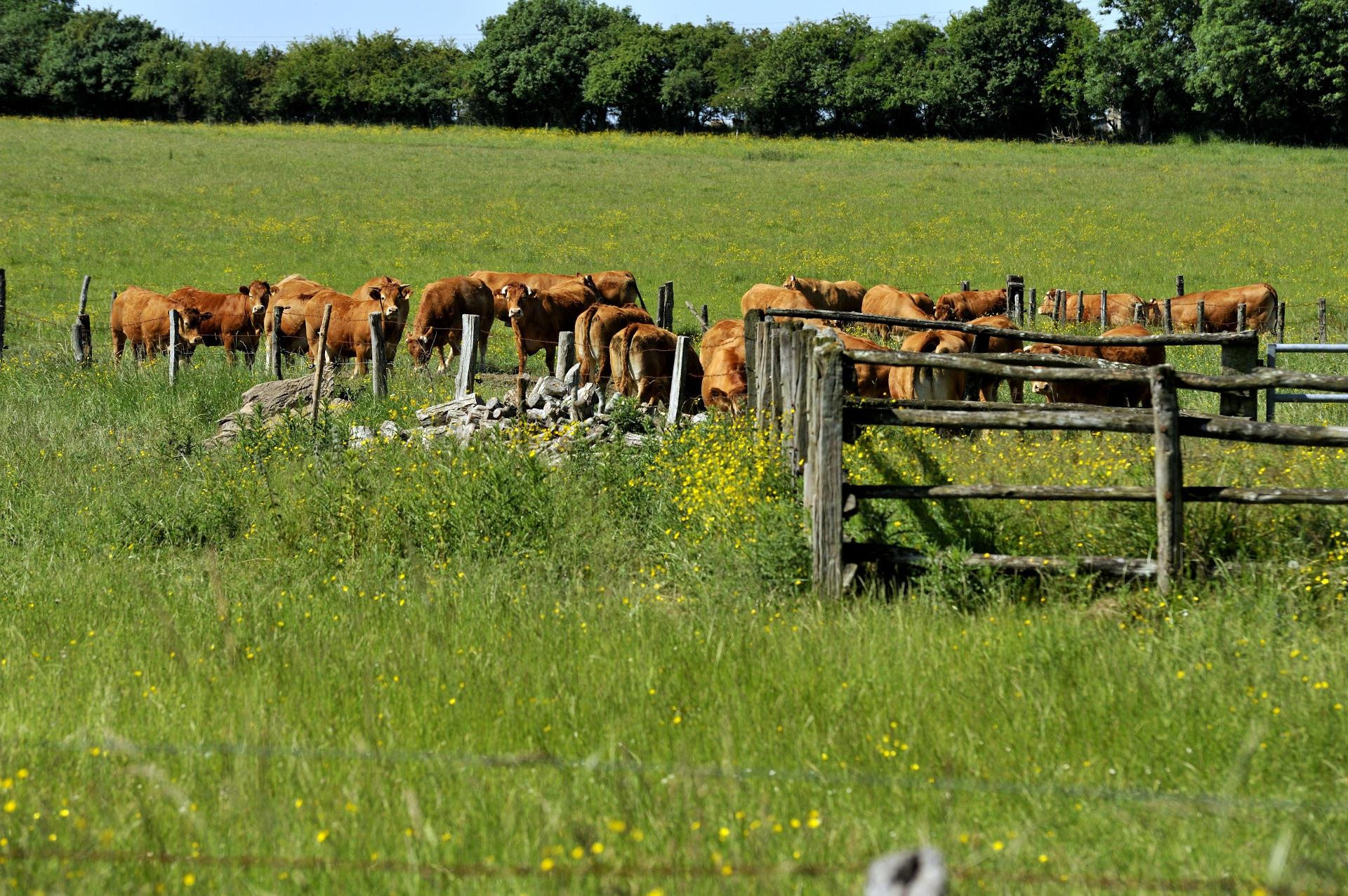 Vista Exterior Logis Relais du Gué de Selle
