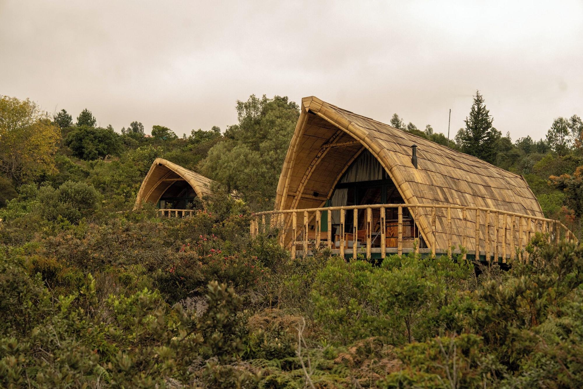 Varios Hotel Casa Selvaggio