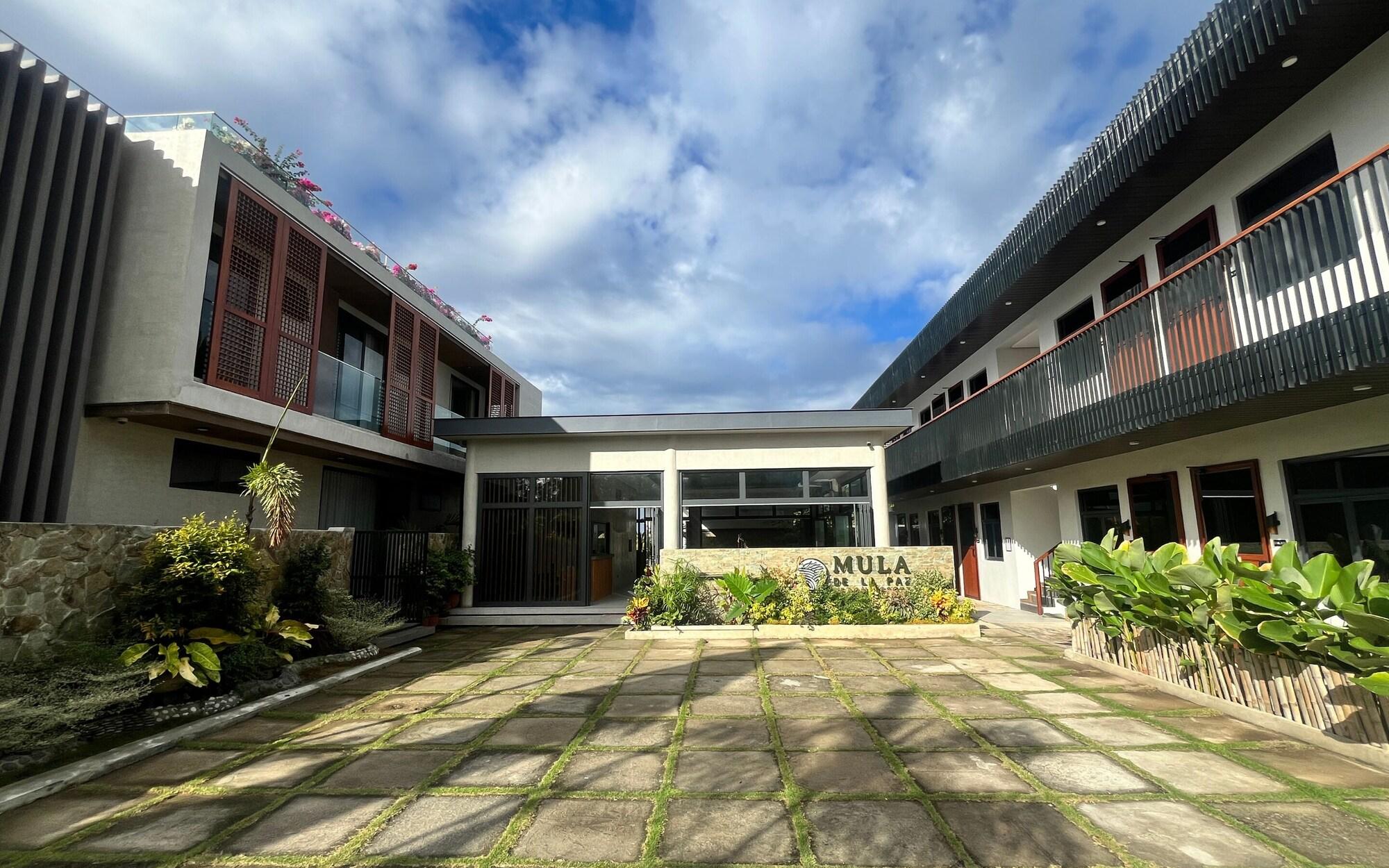 Varios Mula De La Paz