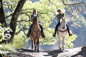 Actividad - Paseo a caballo