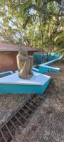 Alquiler Vacacional - Studio Apartment with pool, just 5 min from Tamarindo beach! Scuba themed!