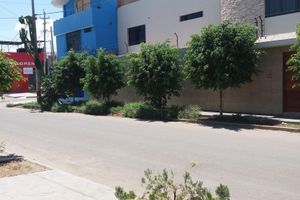 Hotel - Nasca Trails B&B