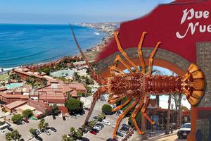 Alojamiento - Puerto Nuevo Baja Hotel & Villas