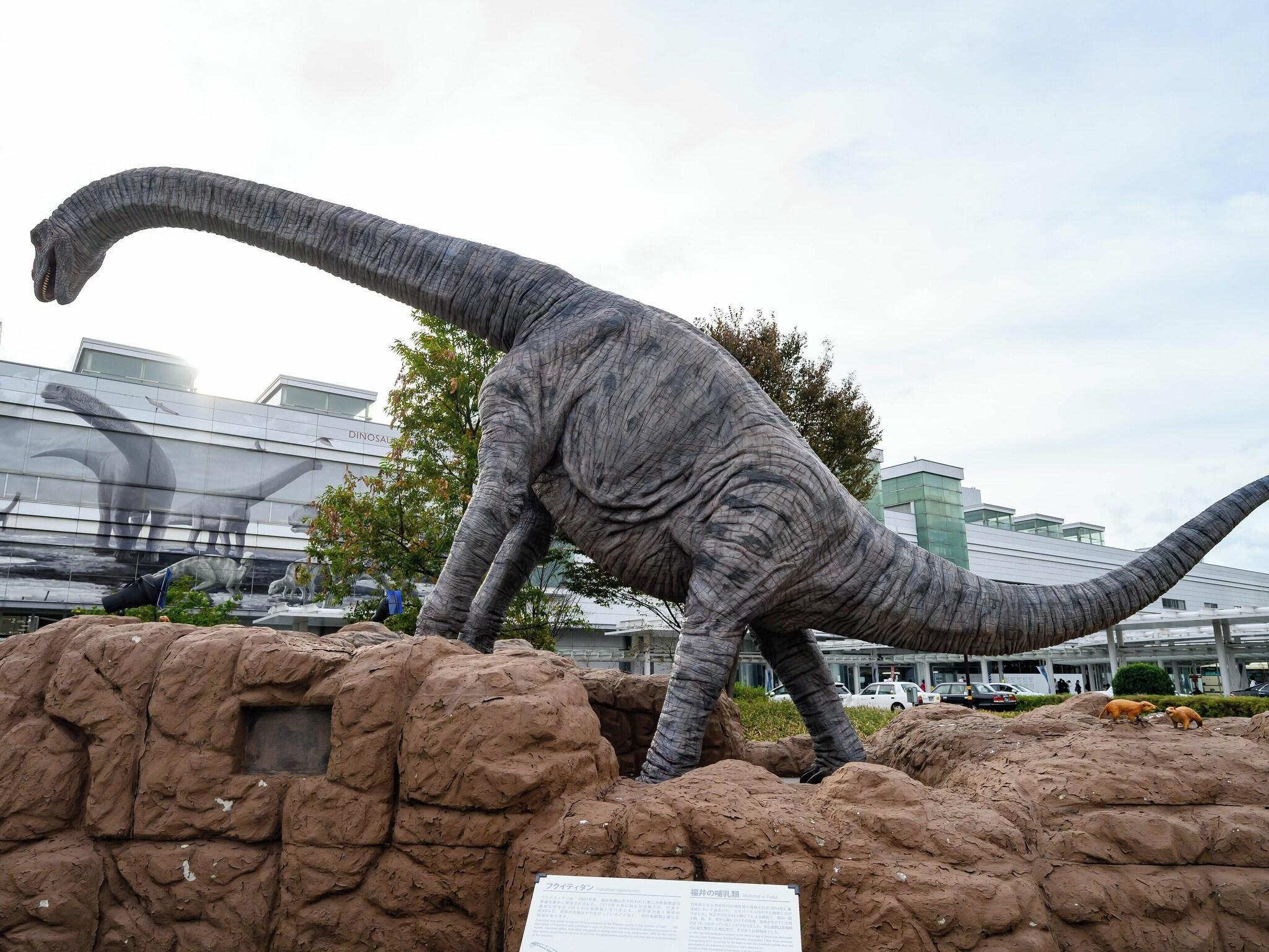 Vista Exterior Hotel Econo Fukui Station