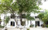 Hotel Casa Tortuga Tulum Cenotes Park Inclusive
