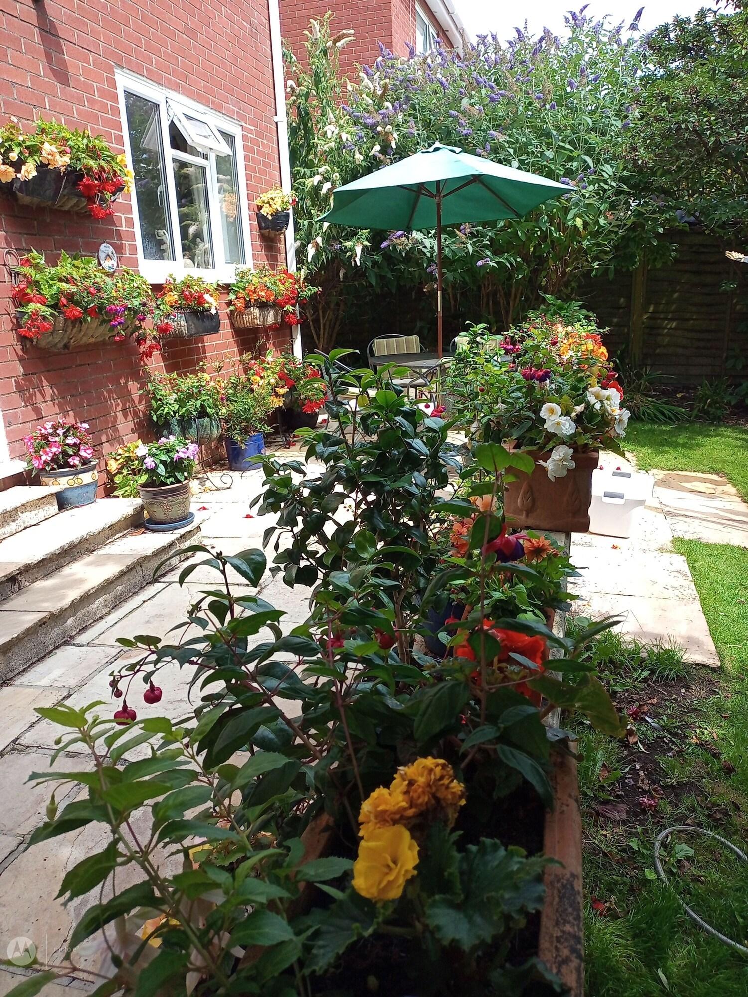 Equipamiento de Habitación The Willow